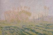 Claude Monet Meadow with Poplars oil painting reproduction